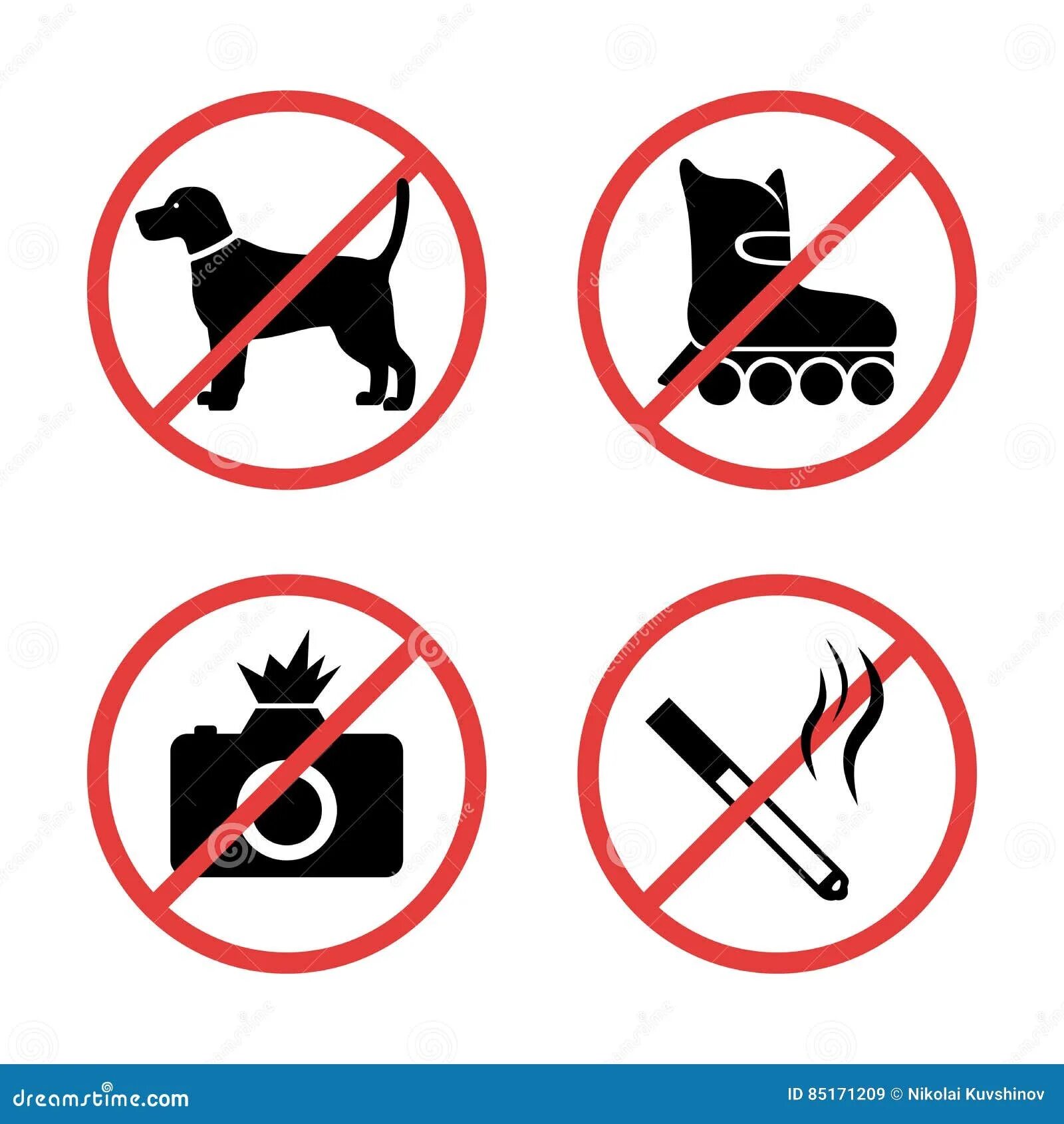 Зоопарк собак. Зоопарк собак. Зоопарк собак. Гепард и собака. Разные животные.