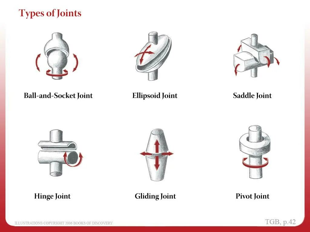 Type randomstring type. Types of Joints. Classification of Joints. Type of Joint/ Тип стыка. "C" Type Joint Connector.