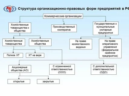 Структура организации правовые формы предприятий