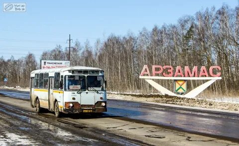 Арзамас березовка