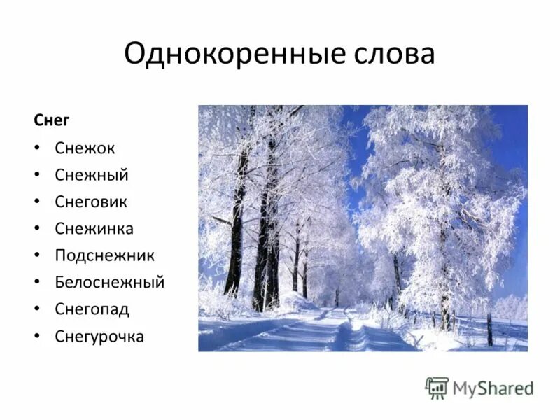 Прилагательные на зимнюю тему. Снег однокоренные слова. Однокаренныеслова снег. Смег однокоренные слова. Снежные слова.