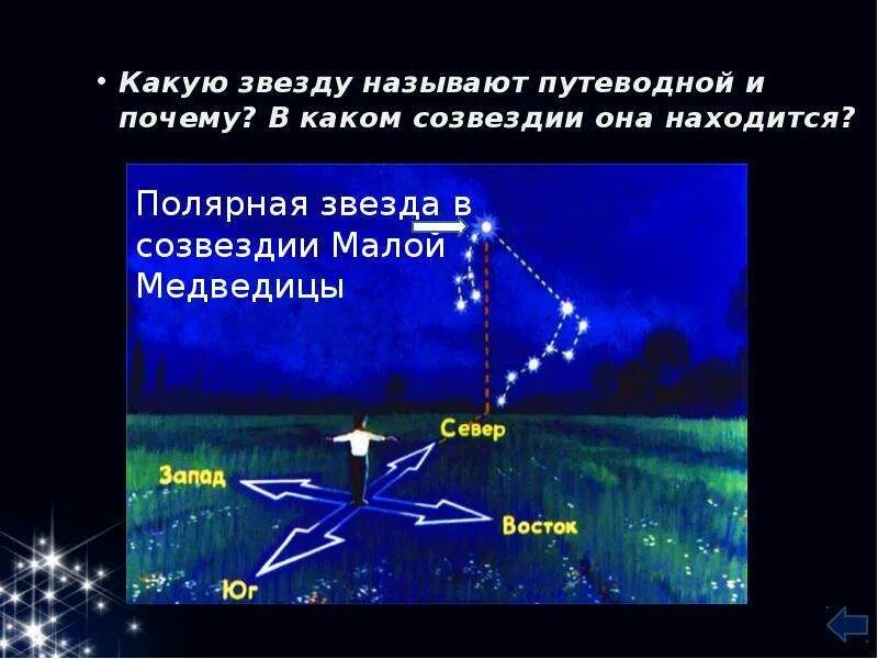 Полярная звезда в каком созвездии на небе. Полярная звезда в каком созвездии на небе