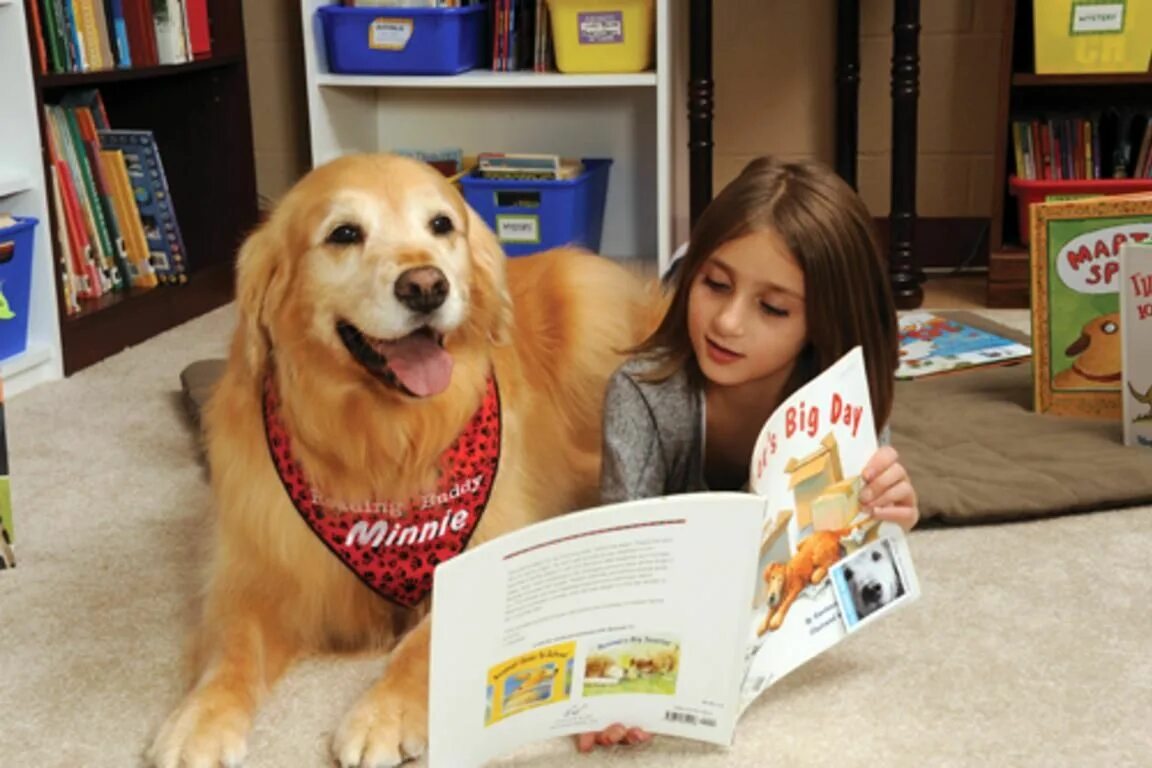 Pets library. Дети чтение собаки. dogs at library.
