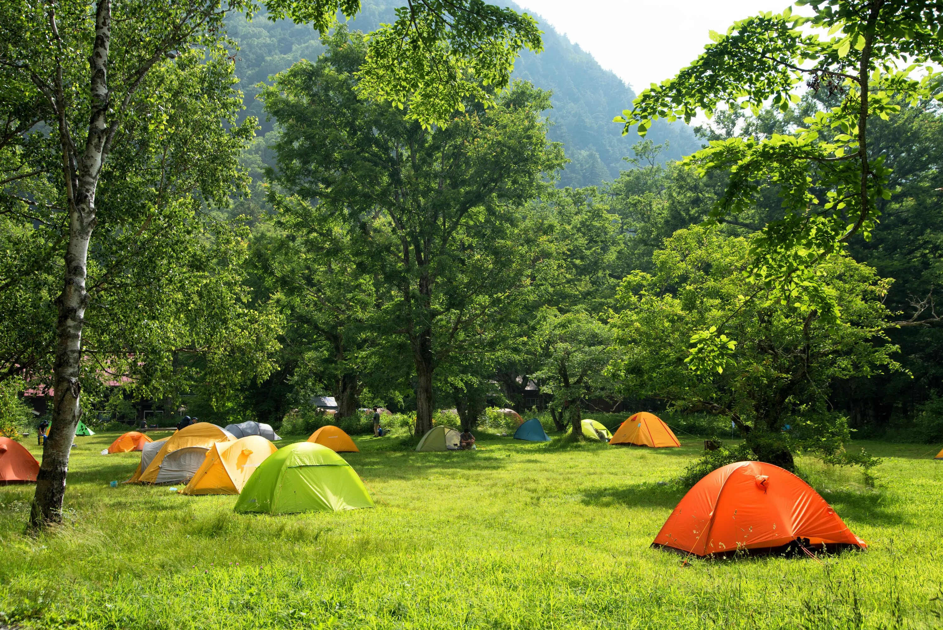 Camping pictures. Best Camp палатки. Палатка на природе. Пейзаж с палаткой. Лагерь с палатками в лесу.