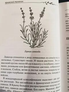 Крымский травник карандаш