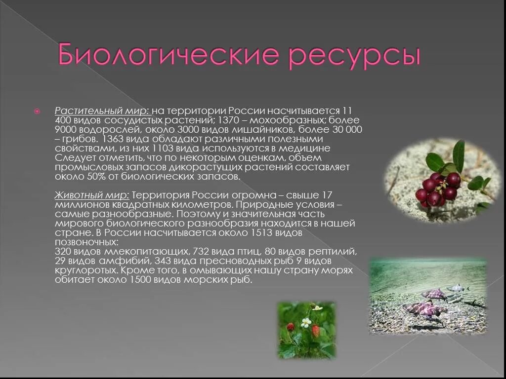 Растительные природные ресурсы. Биологические ресурсы России. Растительные биологические ресурсы. Богатства россии сообщение