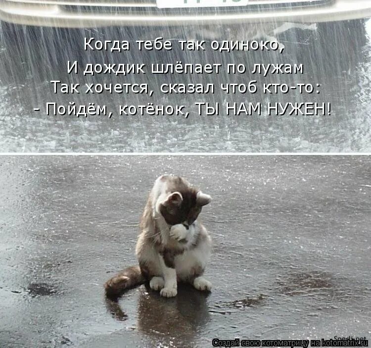 Где нет ни снега ни дождя