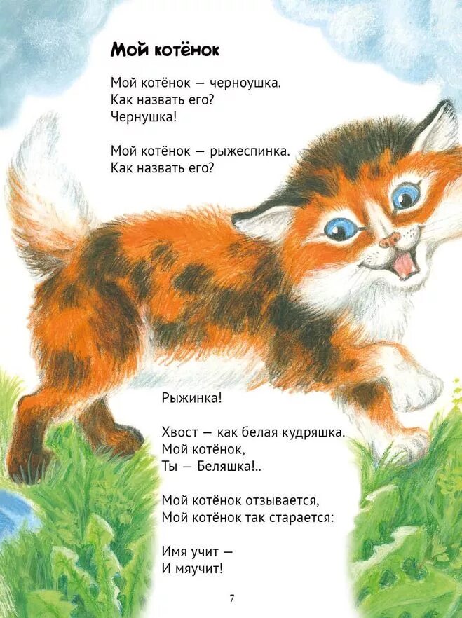 Кота считалка. Детские стихи про кошек. Стих про кота для детей. Стих про кошку для детей. Стихи про котят.