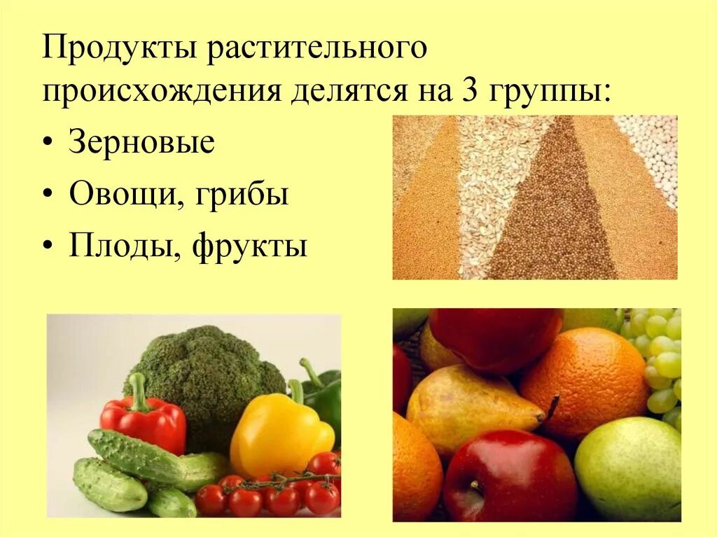 Продукты растительного происхождения 2 класс окружающий. Продукты растительного происхождения. Пища растительного происхождения. Пища растительного и животного происхождения. Продукты питания растительного происхождения.