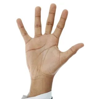 S hand