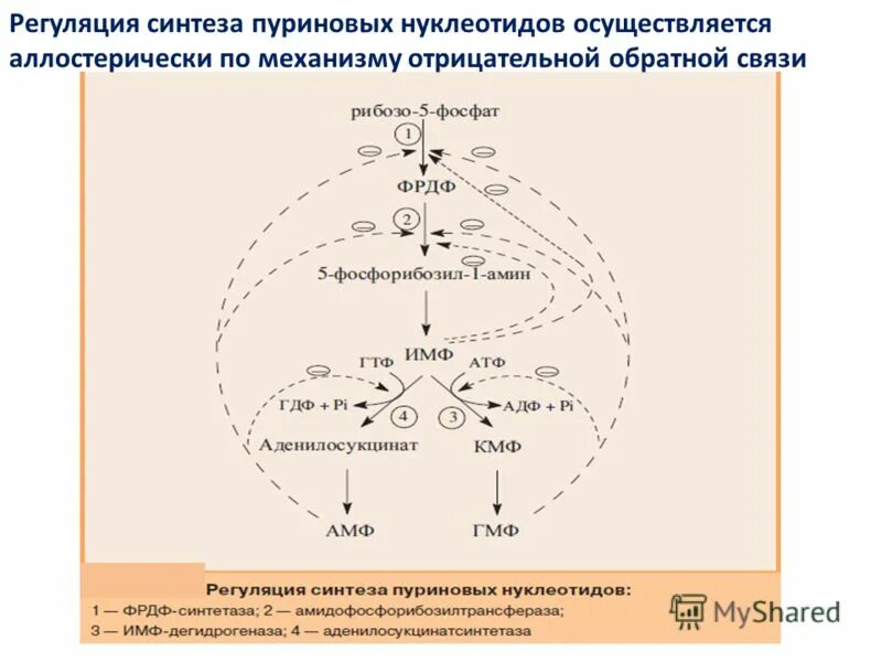 Ферменты необходимы для синтеза