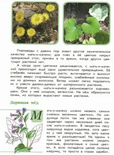 Книга зеленые страницы растения виды