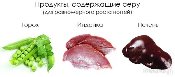 Биологическая роль серы в организме человека. Продукты содержащие серу. Продуктусодержащие серу. Сера в продуктах питания.