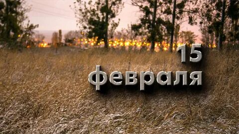 Когда праздник одиноких