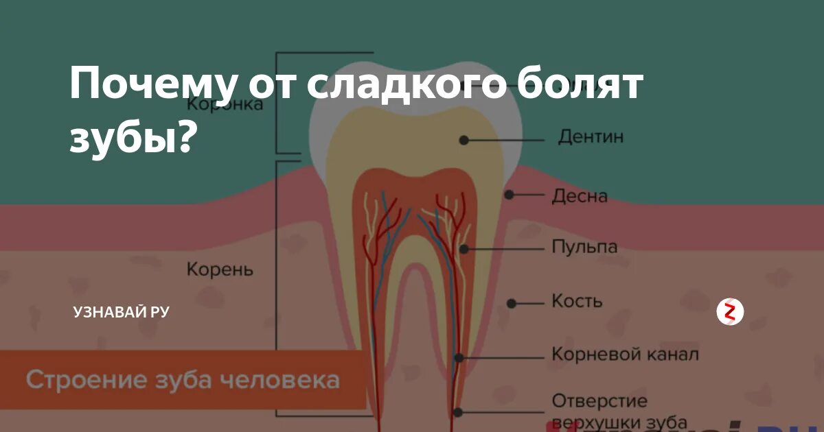 Причины почему болит зуб. Болит зуб.