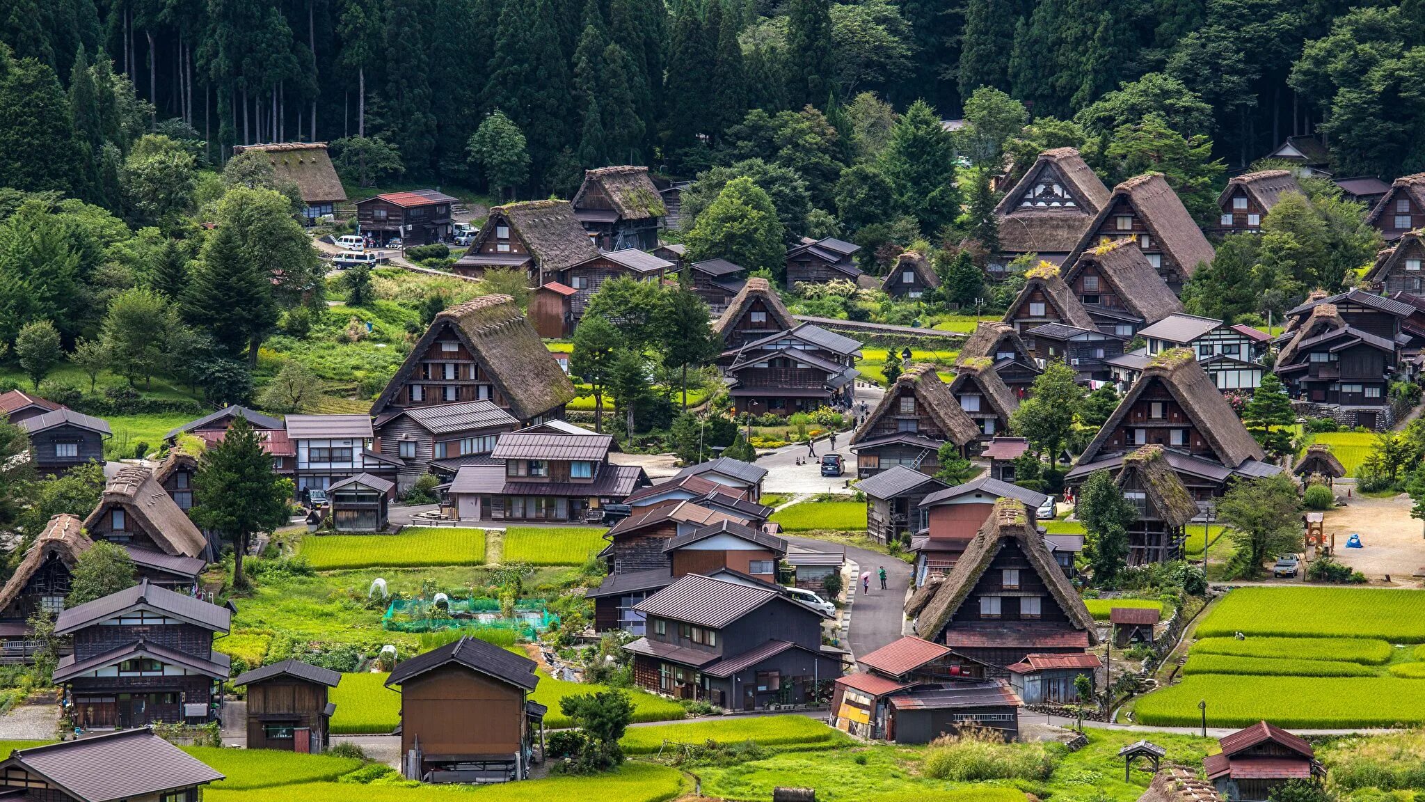 Japanese village. Деревня Сиракава в Японии. Деревня Ширакава. Колумбия Горная деревня Минка. Ширакава Япония деревня фото.