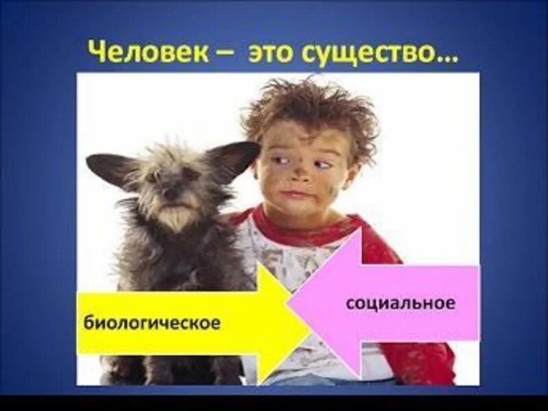 Что такое человеческое существо. Человек биосоциальное существо. человек существо биосоциальное презентация. человек биосоциальное существо рисунок.