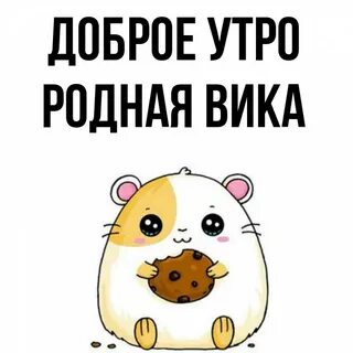 Утро вики