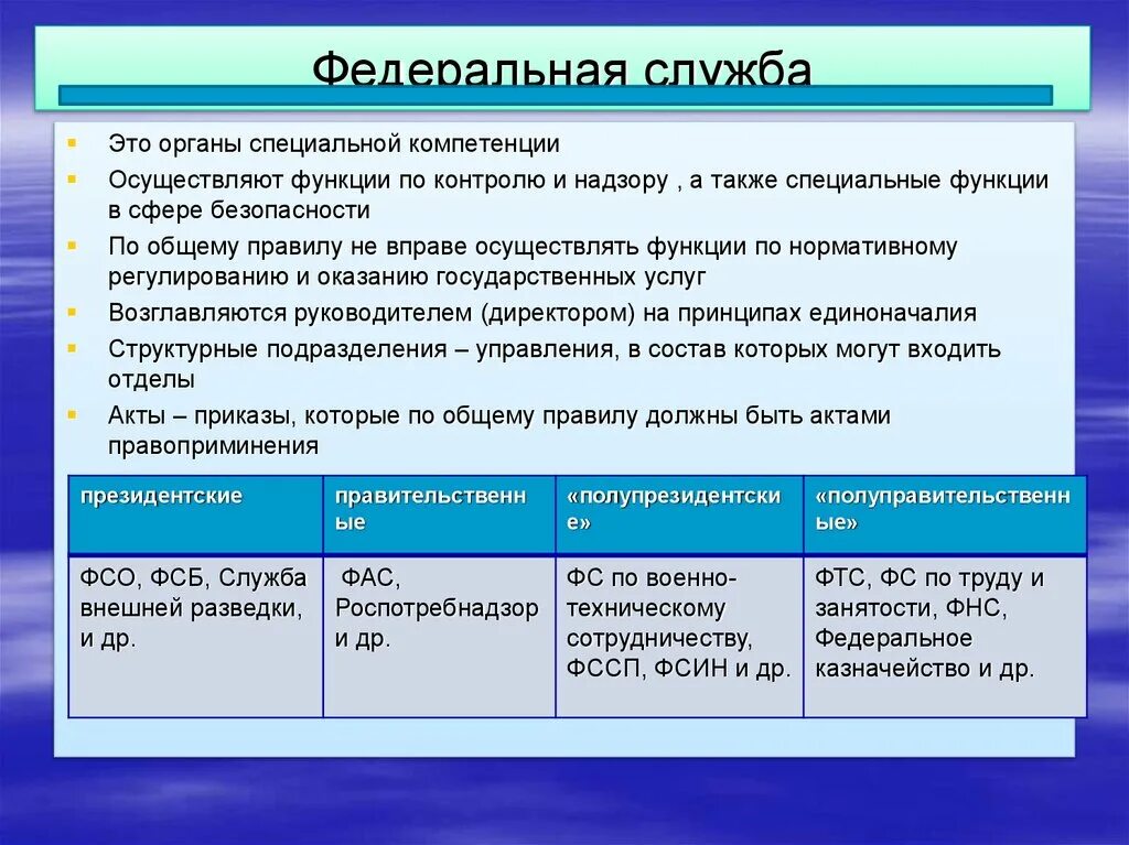 Федеральная служба рф компетенция. Органы специальной компетенции. Федеральные службы. Функции Федеральной службы. Компетенция федеральных служб.