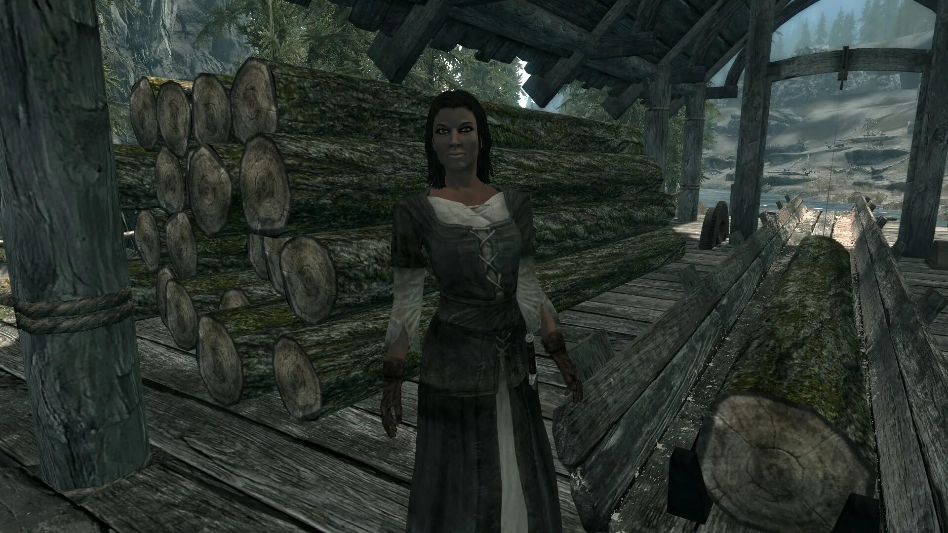 Прохождение skyrim the older scrolls