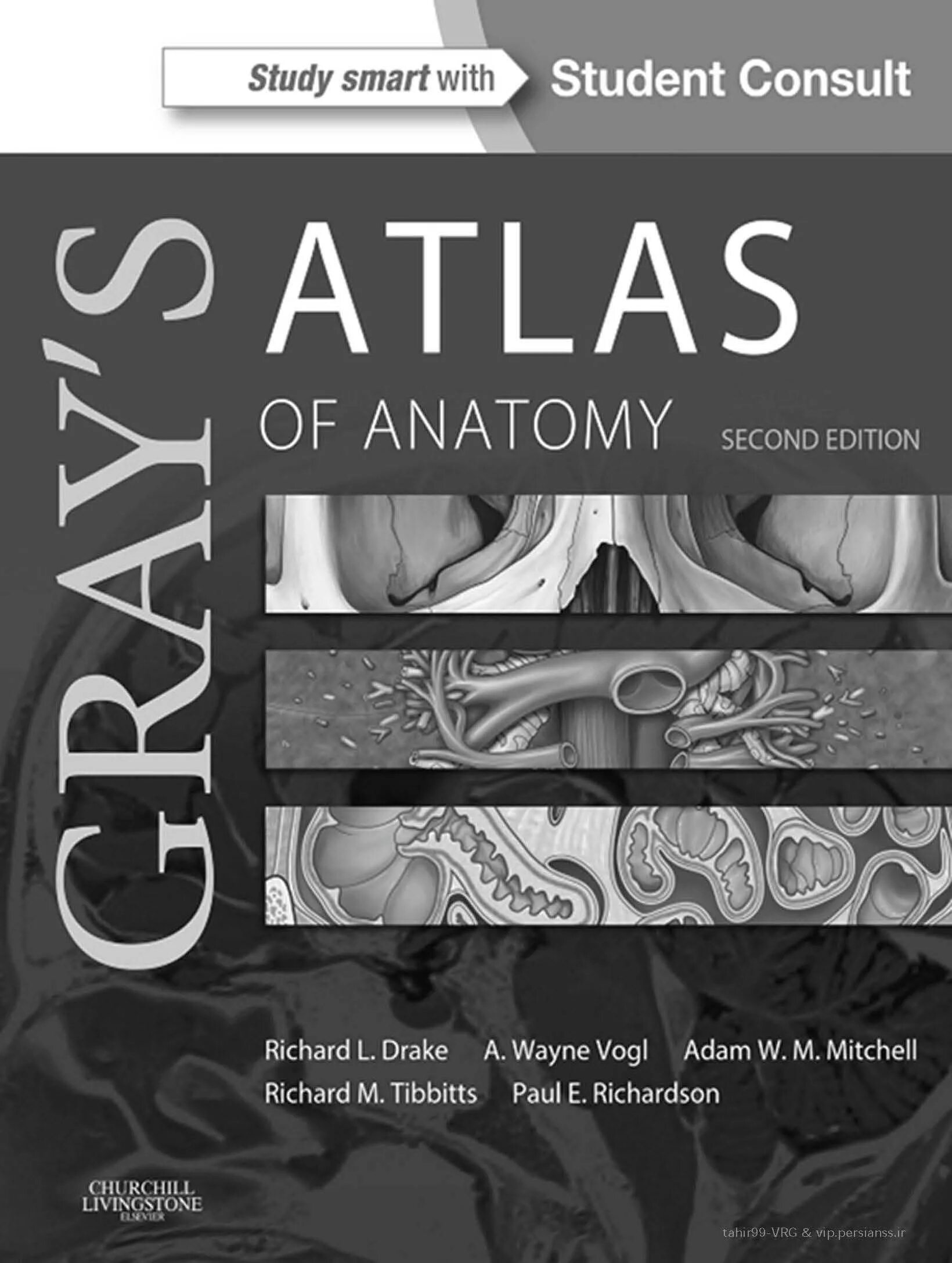 Атлас грея. Атлас по анатомии Grey's Anatomy. Атлас анатомии Грея. Атлас анатомии Грея учебное пособие. Анатомия Грея учебник.