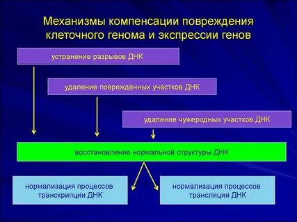 Механизм повреждения