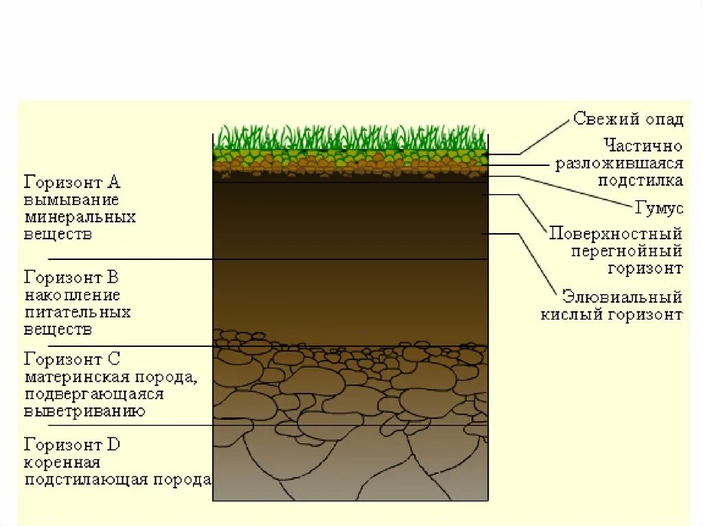 Строение почвы почвенные горизонты. Строение почвы подвесные горезонты. Почвы состав строение и структура. Строение почвенного горизонта схема.