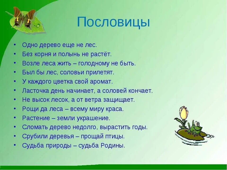 Пословица слова дерево. Пословицы и поговорки о природе. Пословицы о природе. Пословицы на тему природа. Пословитсыпро природу.