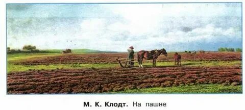 Пашня под яровые 4 буквы