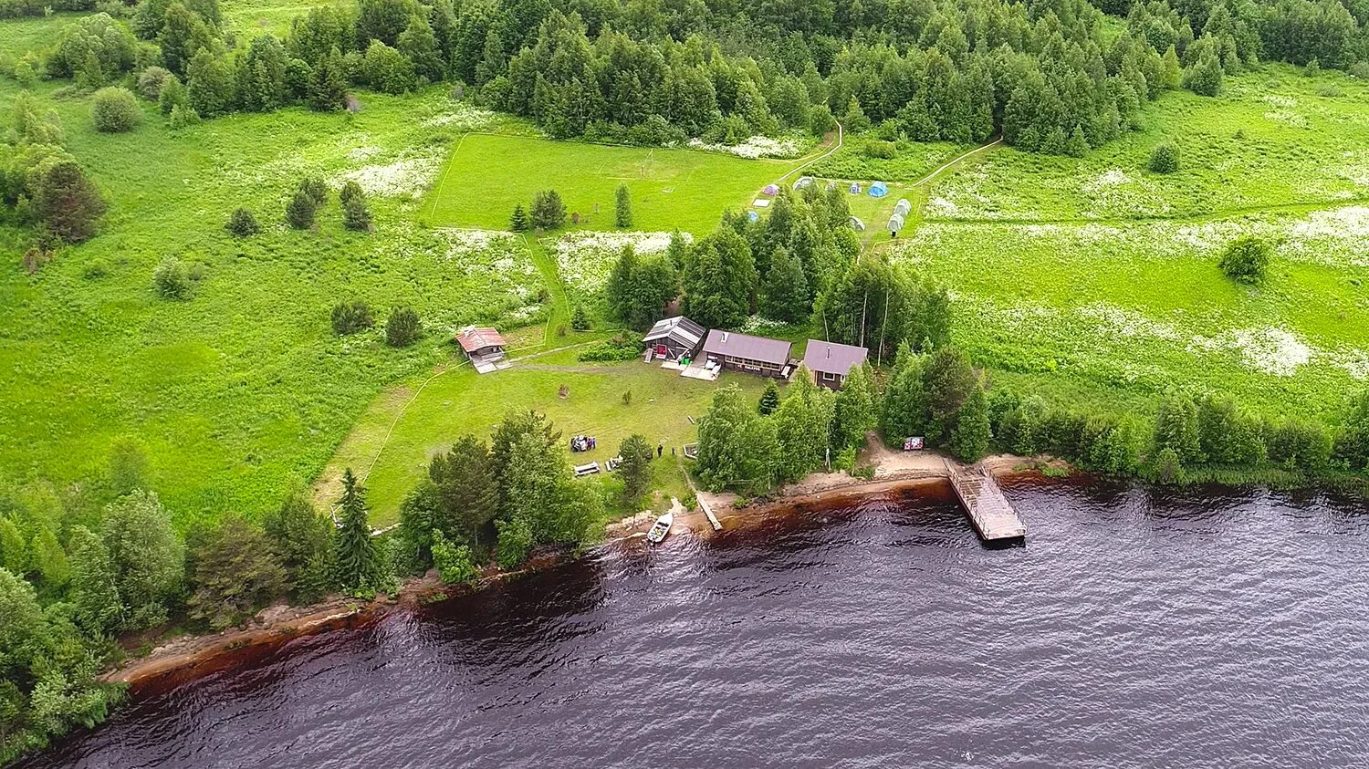 Калипсо Карелия. Лагерь Калипсо. Зоопарк Водлозерский. Калипсо лагерь детский. Водлозерский парк сайт