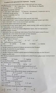 Қынап бұлшықеттерінің суреті