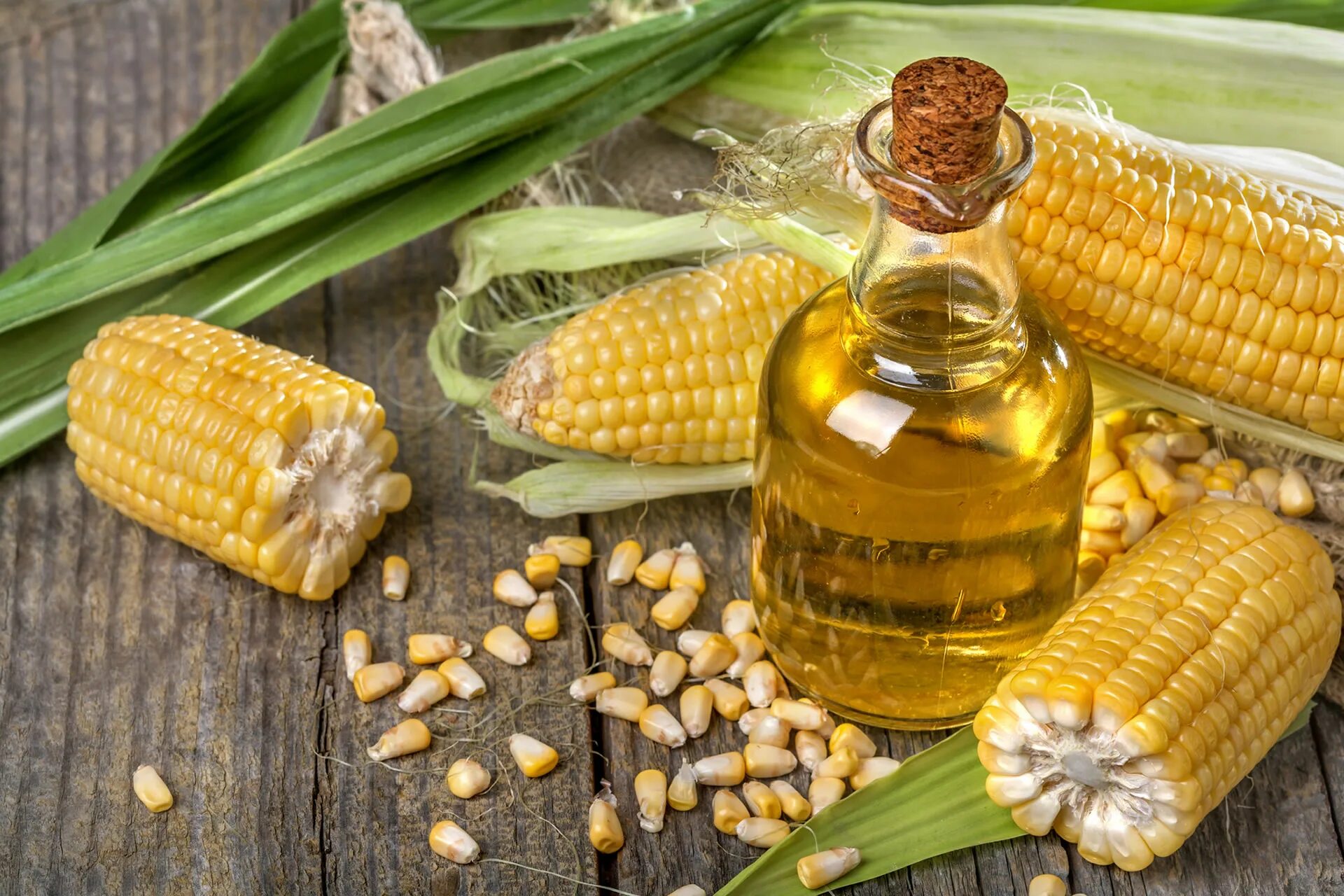 Corn oil. Масличная кукуруза. Кукурузное масло. Растительное масло кукурузное. Масло из кукурузы.