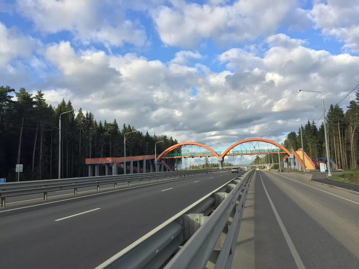 Калуга платные дороги. Трасса м3 Калуга. Трасса м3 Украина. Трасса м3 Брянск. Трасса м3 Клинцы.