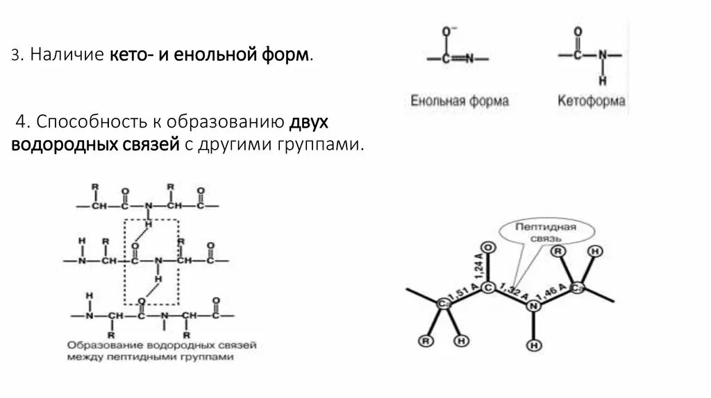 Связи в органических соединениях. Кетонная форма пептидной связи. Водородные связи в пептиде. Водородные связи в пептиде. Связи в органических соединениях.