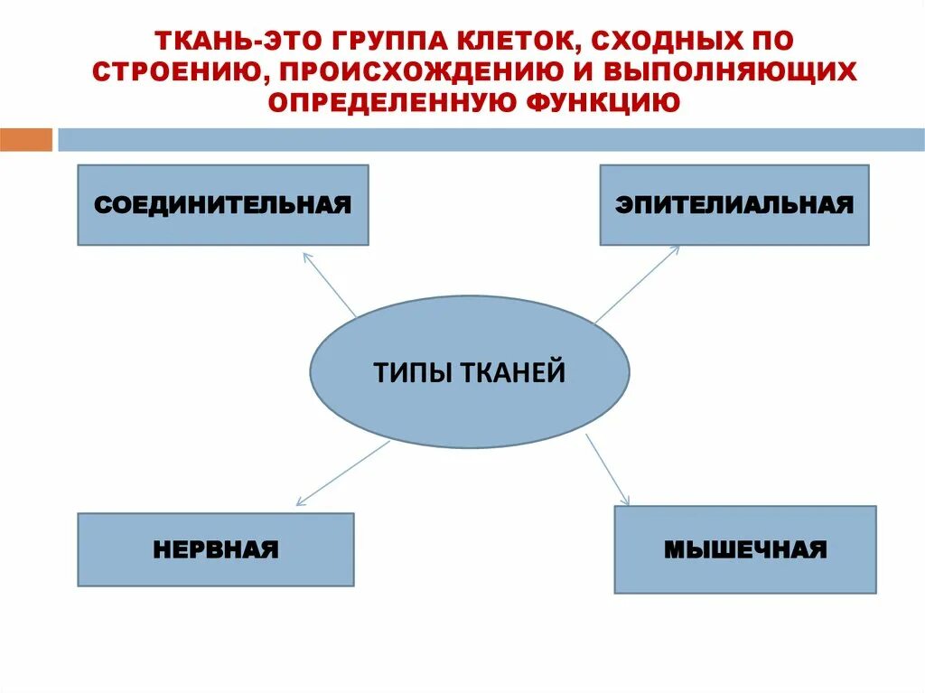 Сходные по строению функциям и происхождению. Группа сходных по строению клеток выполняющих определенную функцию. Группа тканей выполняющая определенную функцию. Группы клеток имеющих сходное строение и функции это. Группа клеток с сходным строение и выполняющих определенные функции.