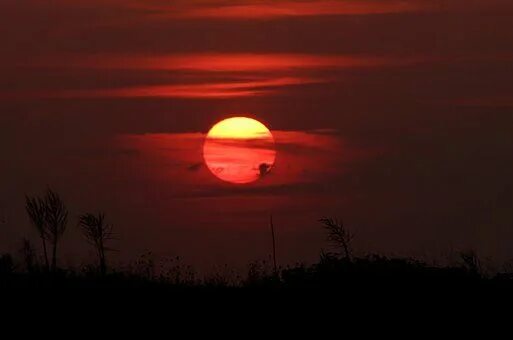 Red Sunset #Red #sunset Fotoğrafçılık, Günbatımları, Manzara