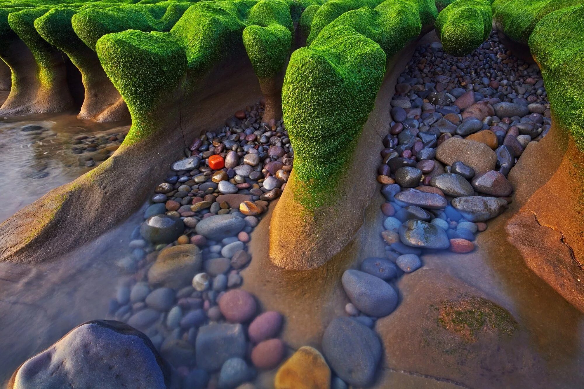 Красивые камни в воде. Красивые водоросли. Цветные камушки. Море камни.