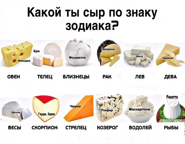 Какой сыр можно есть. Виды сыров. Сорта сыра. Виды сыра название. Сыры сорта название.
