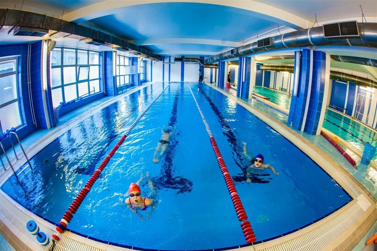 бассейн динамит на челиева. челиева 13. динамит, санкт-петербург, переулок челиева, 13у. челиева 13 б. динамит челиева 13.