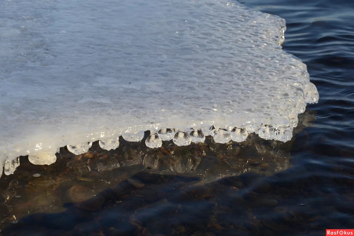 Последний лед фото. Рыбалка по последнему льду. Зимняя рыбалка по последнему льду. Свежий лед. Последний лед.