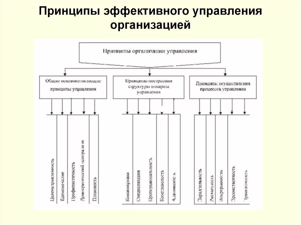 Принципы организации управления предприятиями. Принципы управления компанией. Принципы эффективного управления. Принципы эффективного менеджмента. Организация эффективного руководства