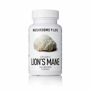 Lions mane mycelium