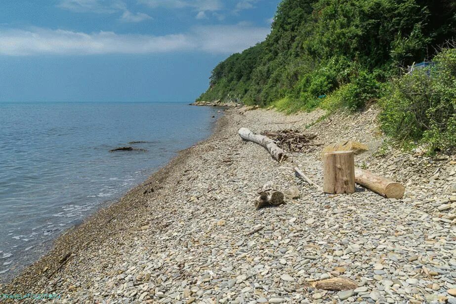 Лермонтова золотой пляж. Лермонтова Краснодарский край море. Лермонтово дикий пляж. Поселок Лермонтово пляж. Пляж Лермонтово Краснодарский край.