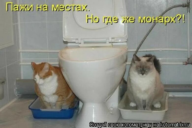 Я без шуток не хожу