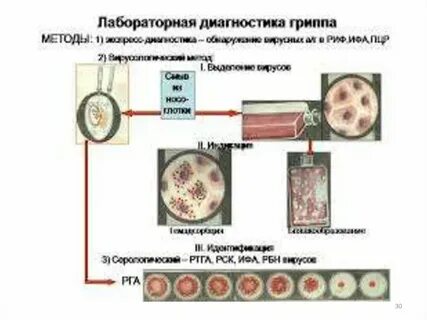 Золотой стандарт лабораторной диагностики