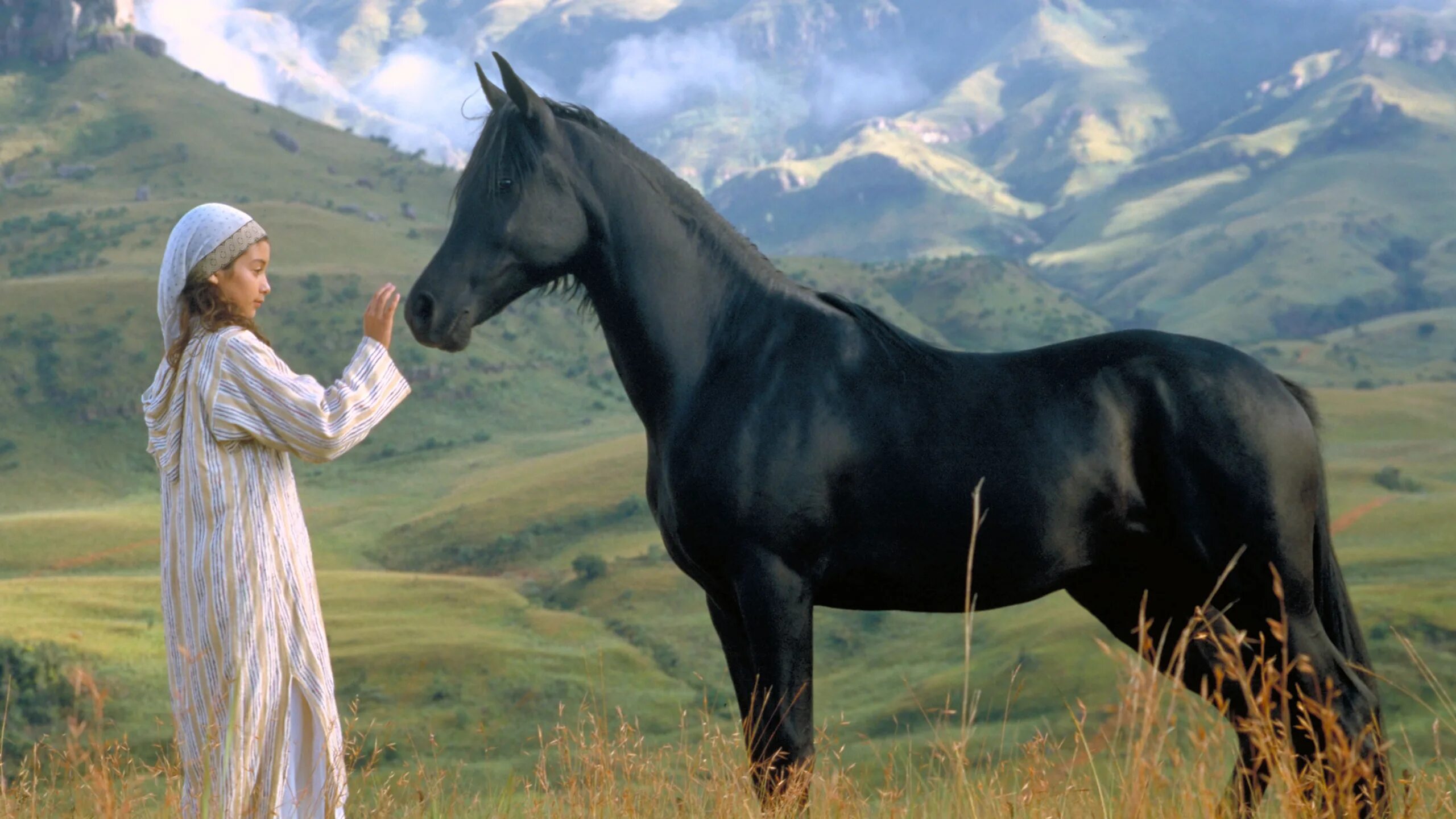 Рожденный в Песках the young Black Stallion 2003. Про черного коня