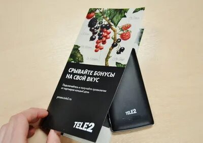 Вкус бонус