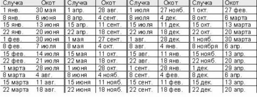 Узнать срок в месяцах. Таблица окотов коз и покрытий. Календарь окота козы таблица. Таблица окотов у коз. Беременность у козы Продолжительность.