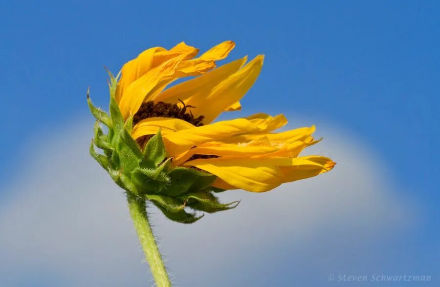 Move wind