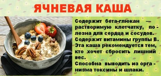 Сколько времени варить ячневую кашу на воде. Пропорции варки ячневой каши. Соотношение воды и ячневой крупы при варке каши. Ячневая каша на воде пропорции. Пропорции ячневой крупы и воды.